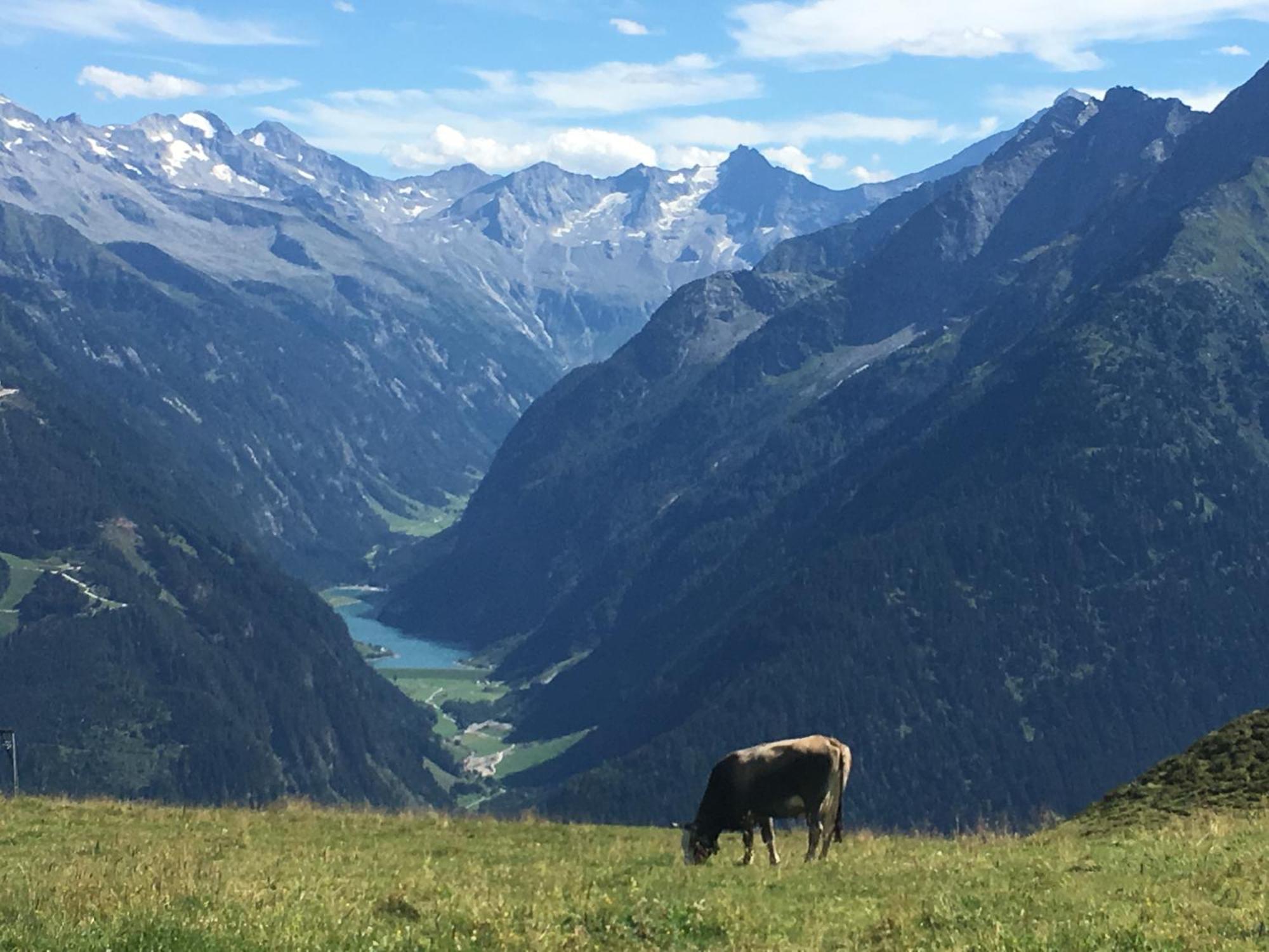 Landhaus Katharina Bis 12 Personen Mit Saunachalet Und Blick Auf Die Bergwelt Des Zillertals 힙파흐 외부 사진